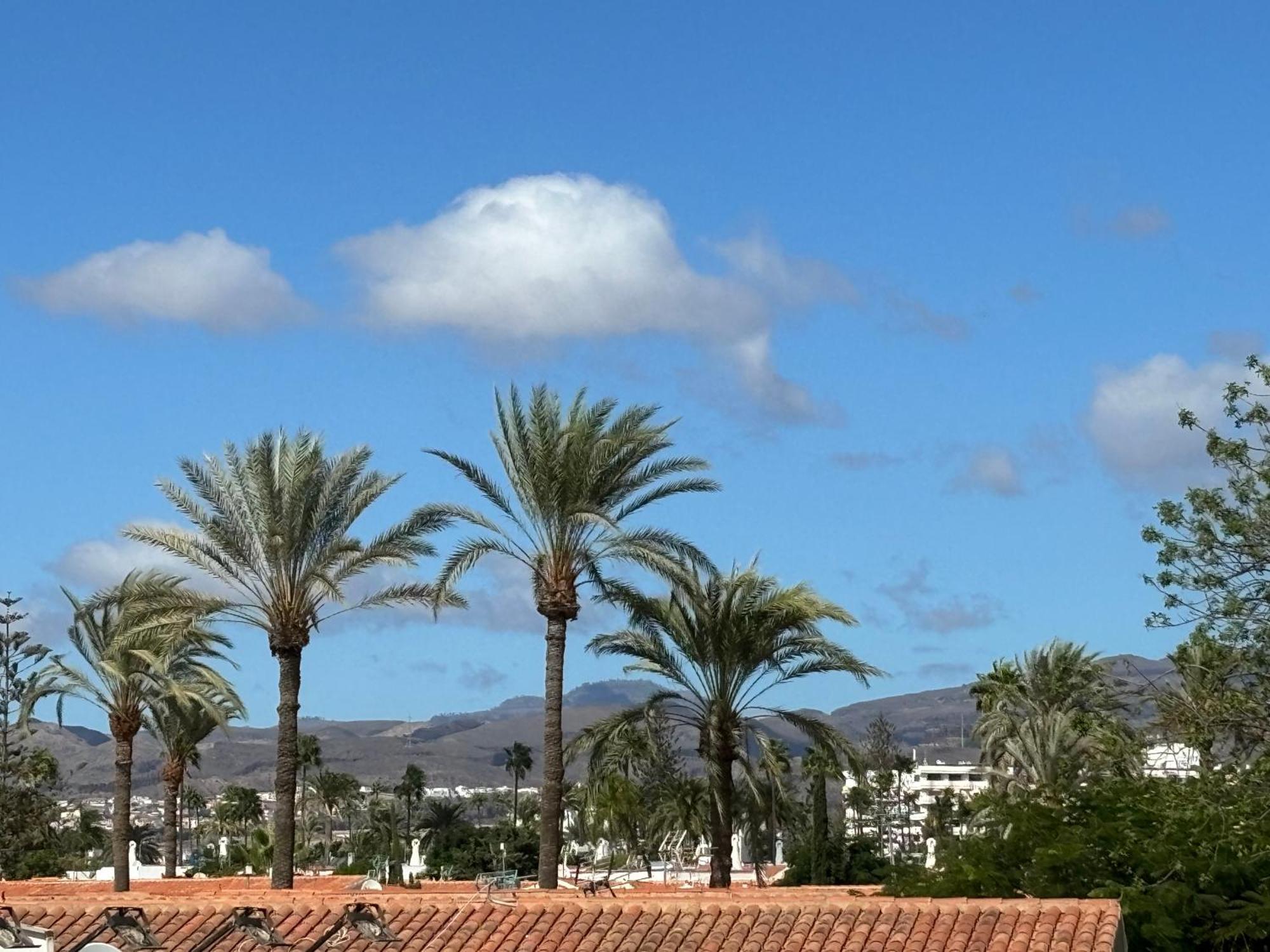Loris Home Playa Ingles 50Mt From Yumbo By Luca Properties Gran Canaria San Bartolomé Kültér fotó